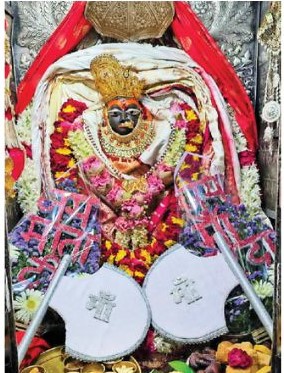 naidunia_image